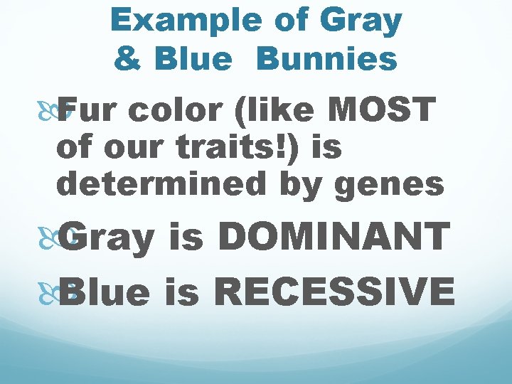 Example of Gray & Blue Bunnies Fur color (like MOST of our traits!) is
