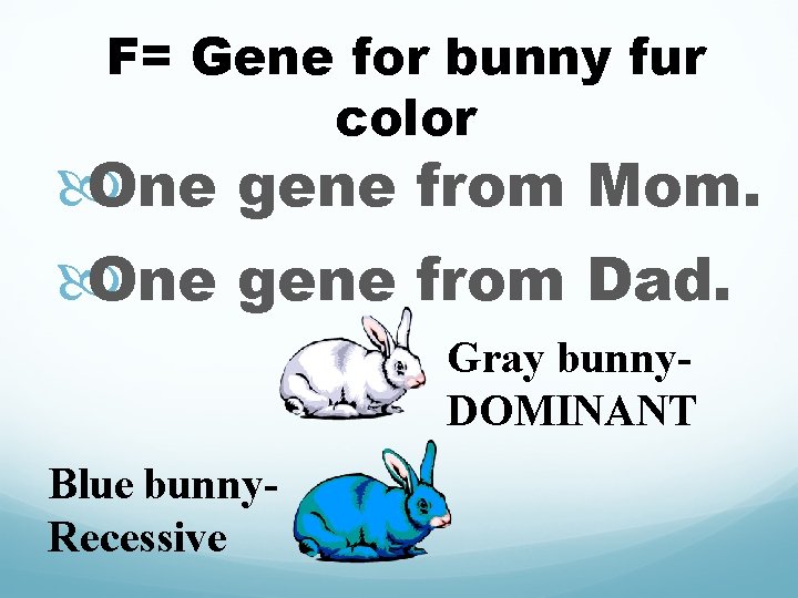 F= Gene for bunny fur color One gene from Mom. One gene from Dad.