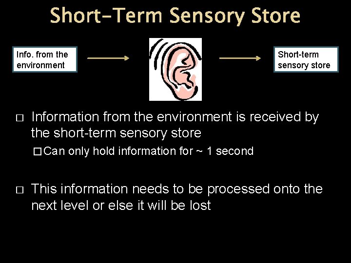 Short-Term Sensory Store Info. from the environment � Information from the environment is received Short-Term Sensory Store Info. from the environment � Information from the environment is received