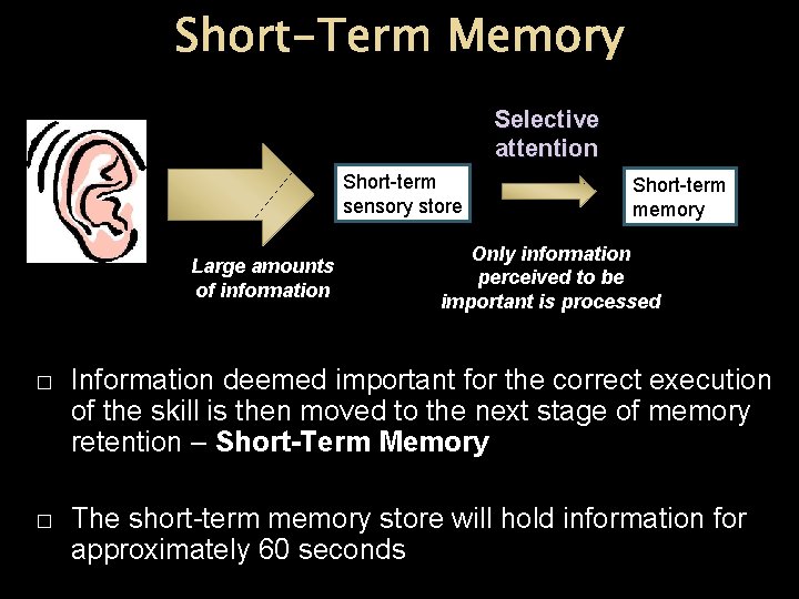 Short-Term Memory Selective attention Short-term sensory store Large amounts of information Short-term memory Only Short-Term Memory Selective attention Short-term sensory store Large amounts of information Short-term memory Only