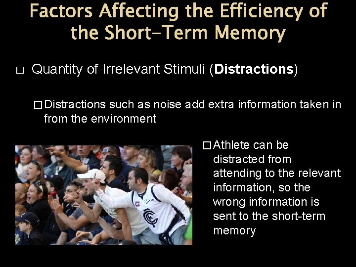 Factors Affecting the Efficiency of the Short-Term Memory � Quantity of Irrelevant Stimuli (Distractions) Factors Affecting the Efficiency of the Short-Term Memory � Quantity of Irrelevant Stimuli (Distractions)
