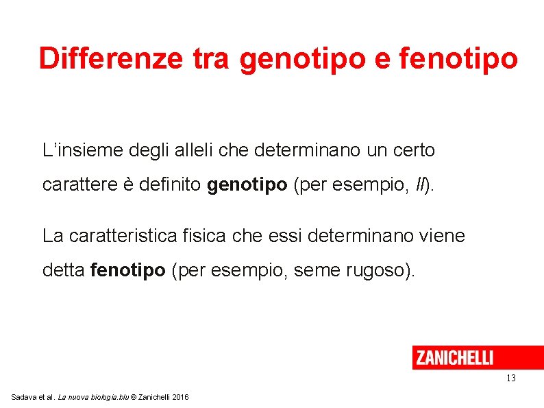 Differenze tra genotipo e fenotipo L’insieme degli alleli che determinano un certo carattere è