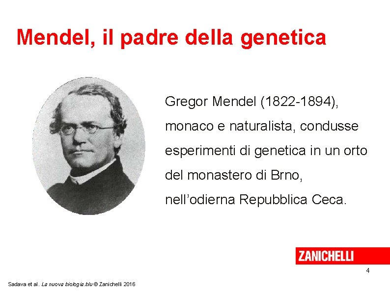 Mendel, il padre della genetica Gregor Mendel (1822 -1894), monaco e naturalista, condusse esperimenti