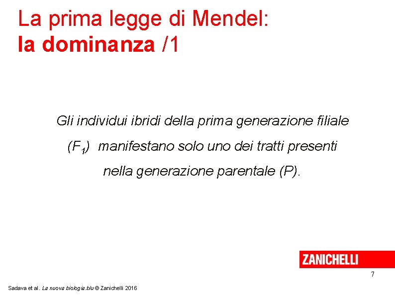 La prima legge di Mendel: la dominanza /1 Gli individui ibridi della prima generazione