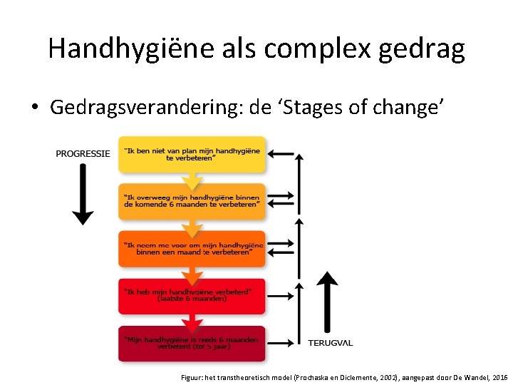 Handhygiëne als complex gedrag • Gedragsverandering: de ‘Stages of change’ Figuur: het transtheoretisch model