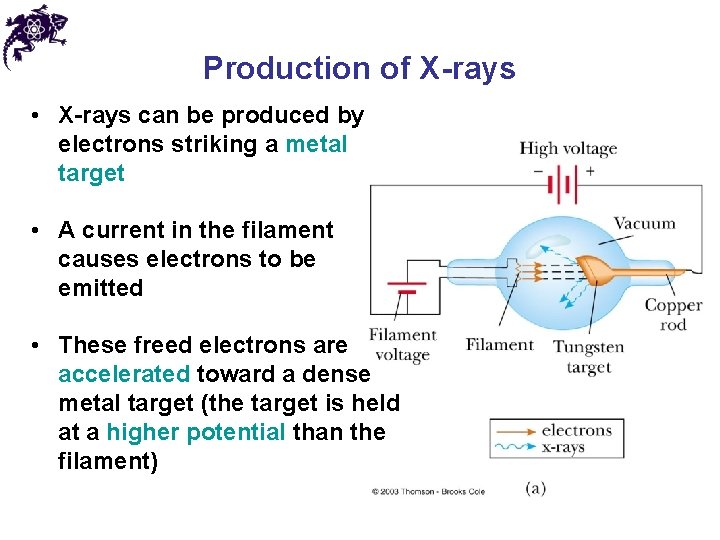 Production of X-rays • X-rays can be produced by electrons striking a metal target Production of X-rays • X-rays can be produced by electrons striking a metal target