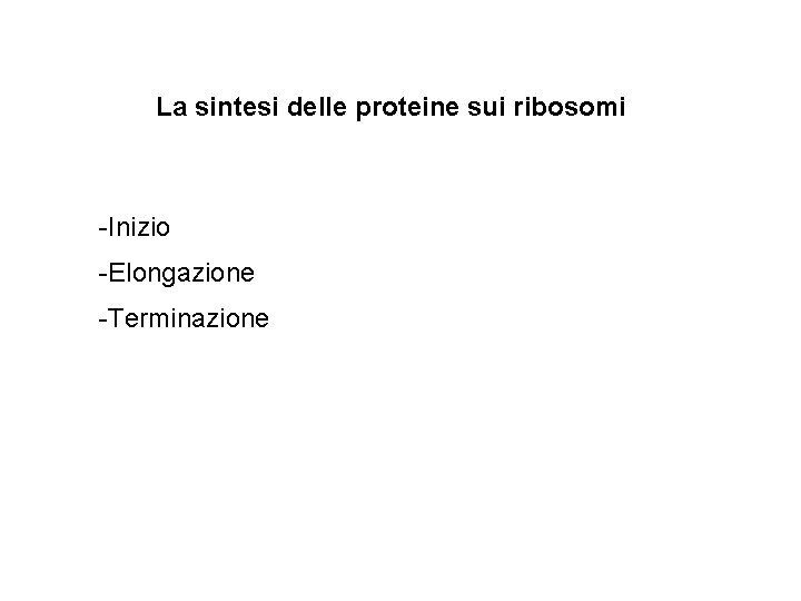 La sintesi delle proteine sui ribosomi -Inizio -Elongazione -Terminazione 