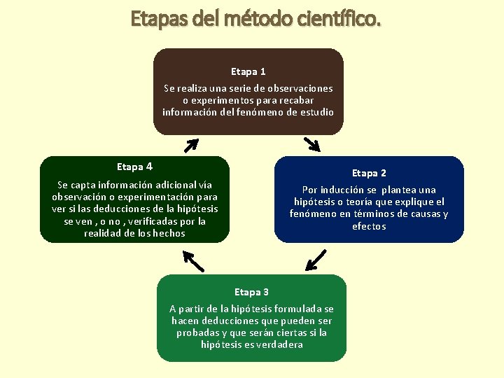 Etapas del método científico. Etapa 1 Se realiza una serie de observaciones o experimentos