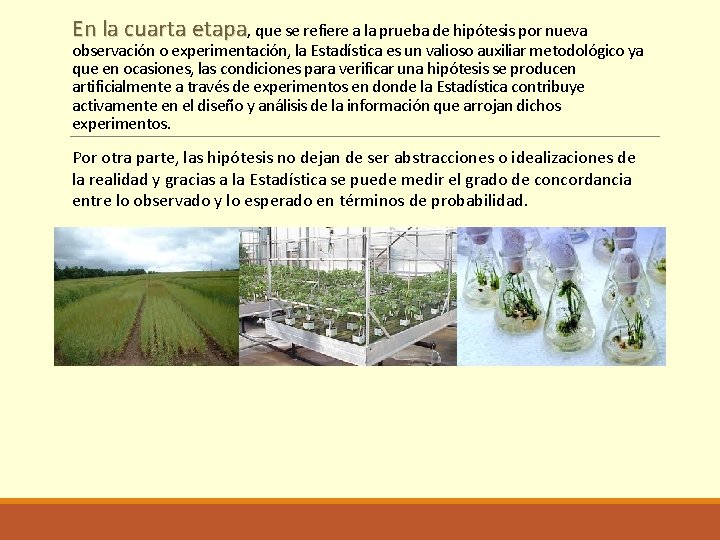 En la cuarta etapa, que se refiere a la prueba de hipótesis por nueva
