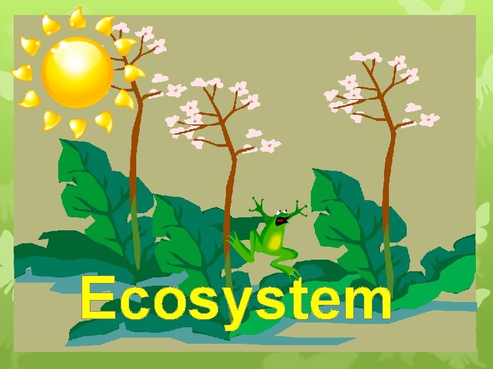 Ecosystem Ecosystem