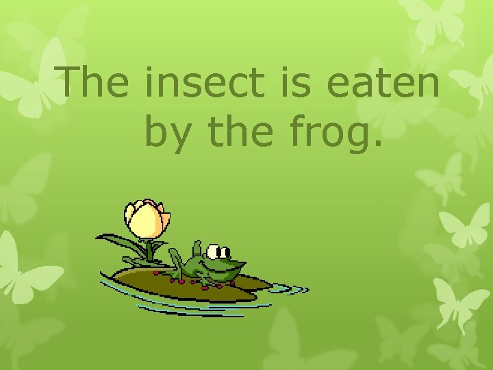 The insect is eaten by the frog. The insect is eaten by the frog.