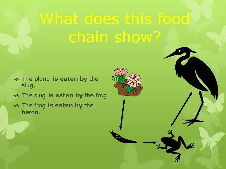 What does this food chain show? The plant is eaten by the slug. The What does this food chain show? The plant is eaten by the slug. The