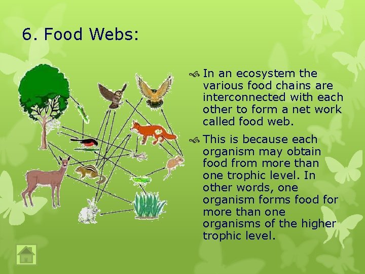 6. Food Webs: In an ecosystem the various food chains are interconnected with each 6. Food Webs: In an ecosystem the various food chains are interconnected with each