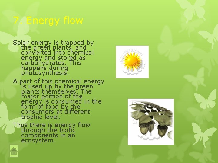 7. Energy flow Solar energy is trapped by the green plants, and converted into 7. Energy flow Solar energy is trapped by the green plants, and converted into