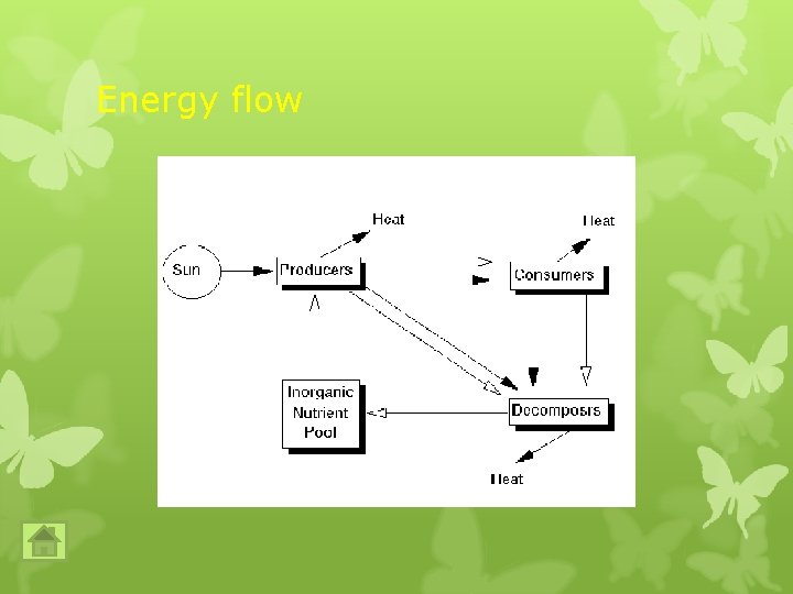 Energy flow Energy flow