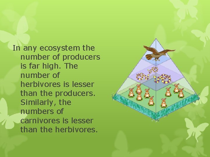 In any ecosystem the number of producers is far high. The number of herbivores In any ecosystem the number of producers is far high. The number of herbivores