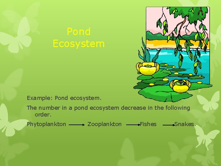Pond Ecosystem Example: Pond ecosystem. The number in a pond ecosystem decrease in the Pond Ecosystem Example: Pond ecosystem. The number in a pond ecosystem decrease in the