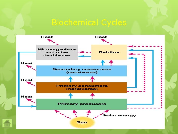 Biochemical Cycles Biochemical Cycles