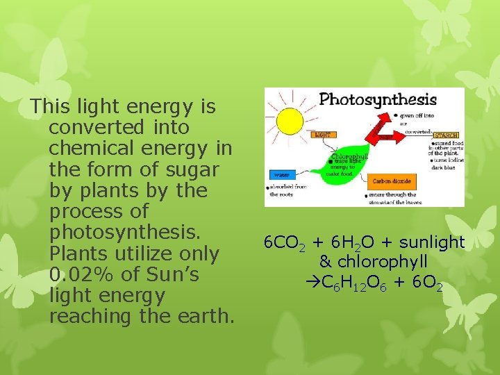 This light energy is converted into chemical energy in the form of sugar by This light energy is converted into chemical energy in the form of sugar by