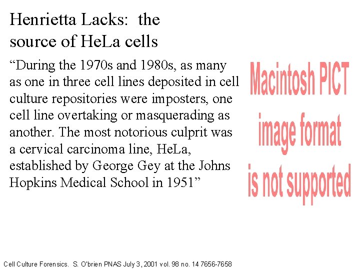 Henrietta Lacks: the source of He. La cells “During the 1970 s and 1980