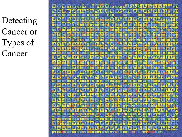 Detecting Cancer or Types of Cancer 