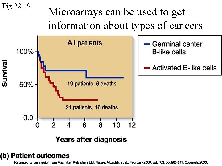 Fig 22. 19 Microarrays can be used to get information about types of cancers