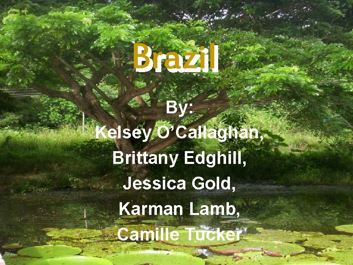 Brazil By: Kelsey O’Callaghan, Brittany Edghill, Jessica Gold, Karman Lamb, Camille Tucker 