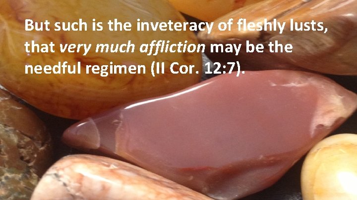 But such is the inveteracy of fleshly lusts, that very much affliction may be