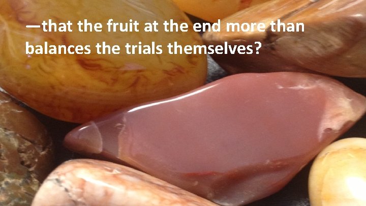 —that the fruit at the end more than balances the trials themselves? 