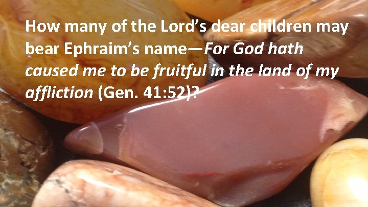 How many of the Lord’s dear children may bear Ephraim’s name—For God hath caused