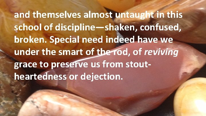 and themselves almost untaught in this school of discipline—shaken, confused, broken. Special need indeed