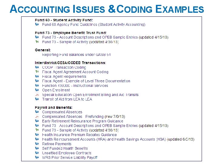 ACCOUNTING ISSUES &CODING EXAMPLES 