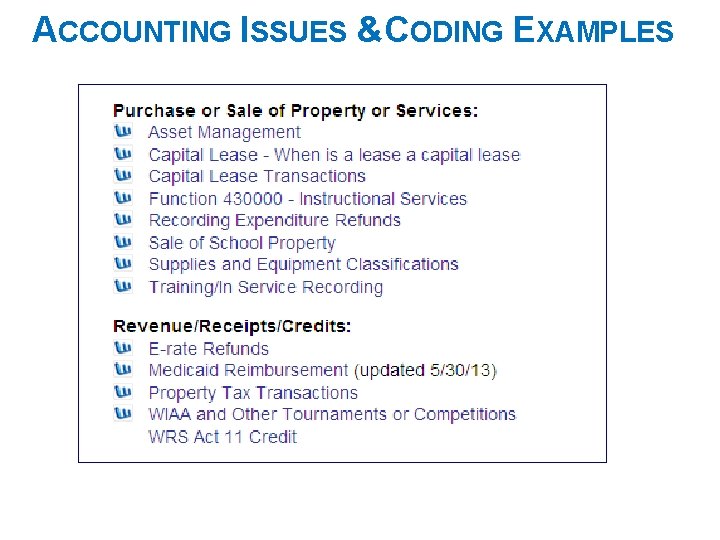 ACCOUNTING ISSUES &CODING EXAMPLES 