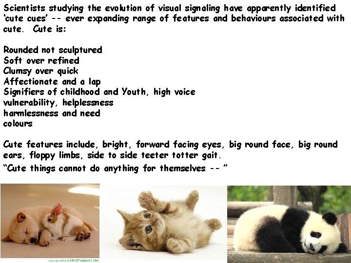 Scientists studying the evolution of visual signaling have apparently identified ‘cute cues’ -- ever