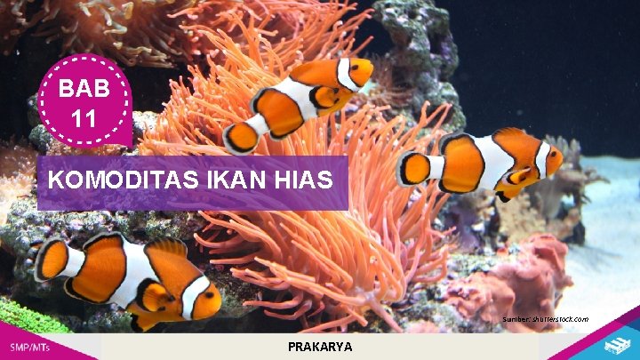 BAB 11 KOMODITAS IKAN HIAS Sumber: shutterstock. com PRAKARYA 
