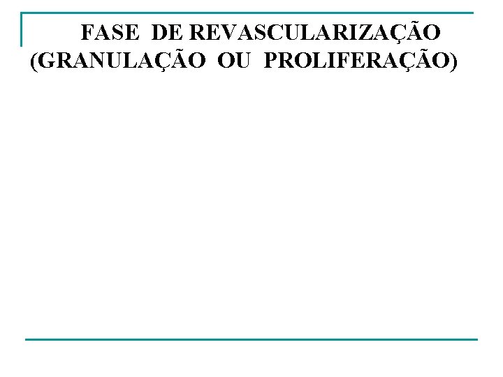 FASE DE REVASCULARIZAÇÃO (GRANULAÇÃO OU PROLIFERAÇÃO) 