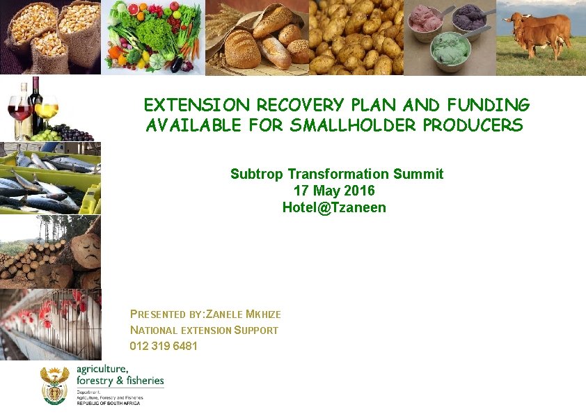 EXTENSION RECOVERY PLAN AND FUNDING AVAILABLE FOR SMALLHOLDER PRODUCERS Subtrop Transformation Summit 17 May