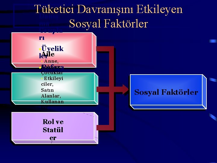 Tüketici Davranışını Etkileyen Danış ma Sosyal Faktörler Grupla rı • Üyelik Aile ler •