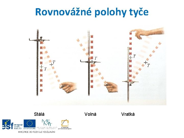 Rovnovážné polohy tyče Stálá Volná Vratká 