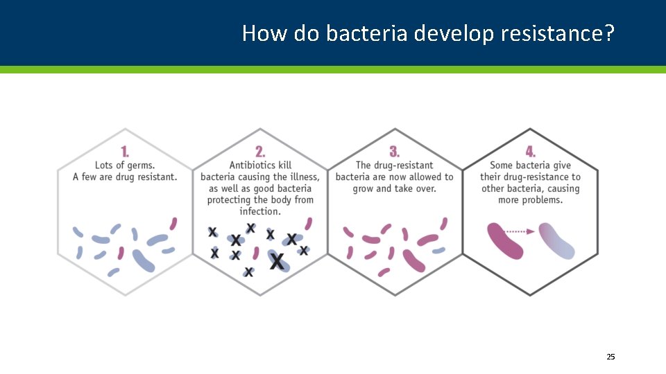 How do bacteria develop resistance? 25 