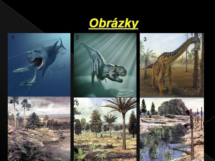 Obrázky 1 4 2 5 3 6 