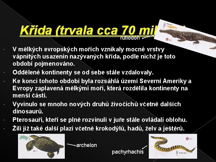 Křída (trvala cca rutiodon 70 mil. let) V mělkých evropských mořích vznikaly mocné vrstvy