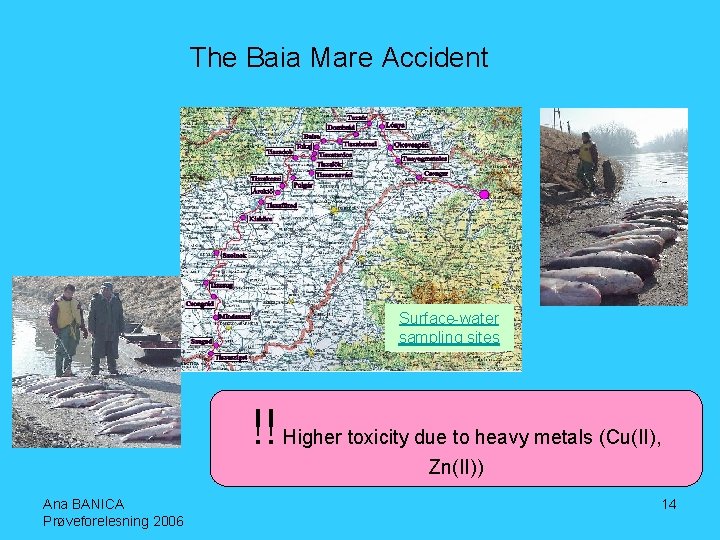The Baia Mare Accident Surface-water sampling sites !! Higher toxicity due to heavy metals