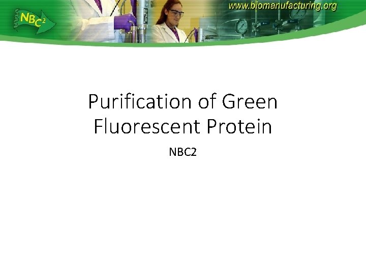 Purification of Green Fluorescent Protein NBC 2 