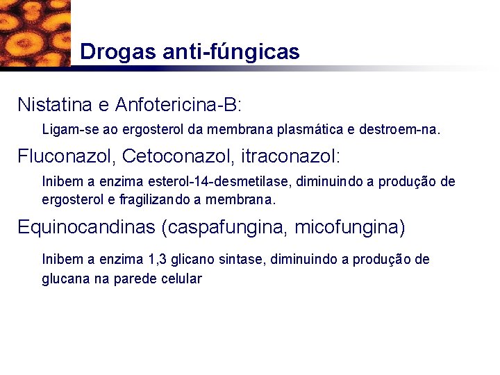 Drogas anti-fúngicas Nistatina e Anfotericina-B: Ligam-se ao ergosterol da membrana plasmática e destroem-na. Fluconazol,