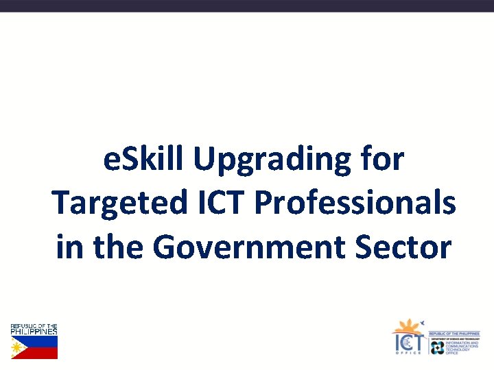 e. Skill Upgrading for Targeted ICT Professionals in the Government Sector 
