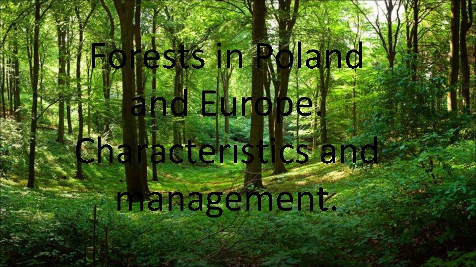 Forests in Poland Europe. Characteristics and management. 