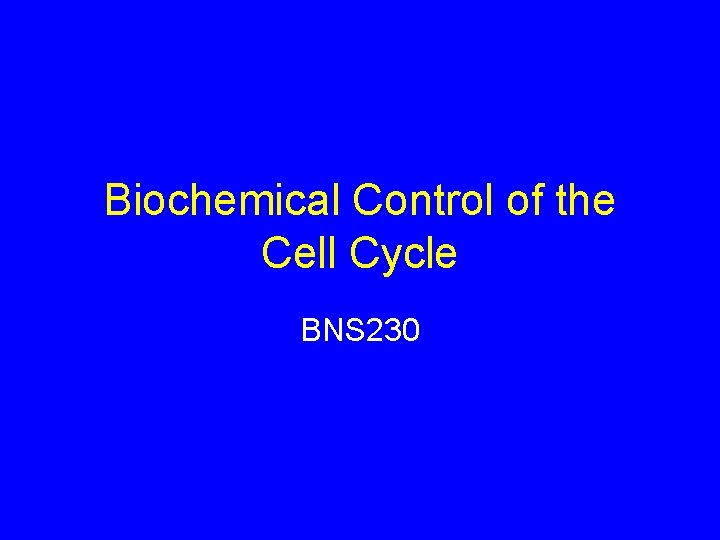 Biochemical Control of the Cell Cycle BNS 230 