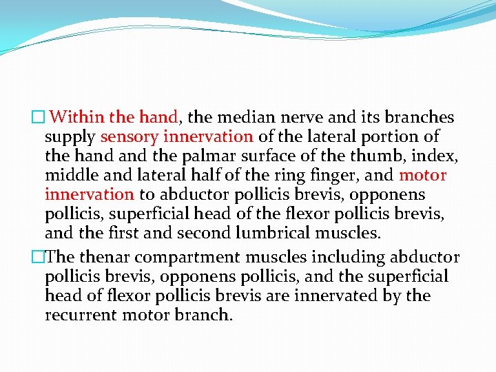 � Within the hand, the median nerve and its branches supply sensory innervation of