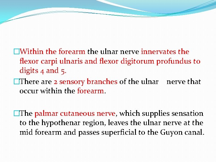 �Within the forearm the ulnar nerve innervates the flexor carpi ulnaris and flexor digitorum